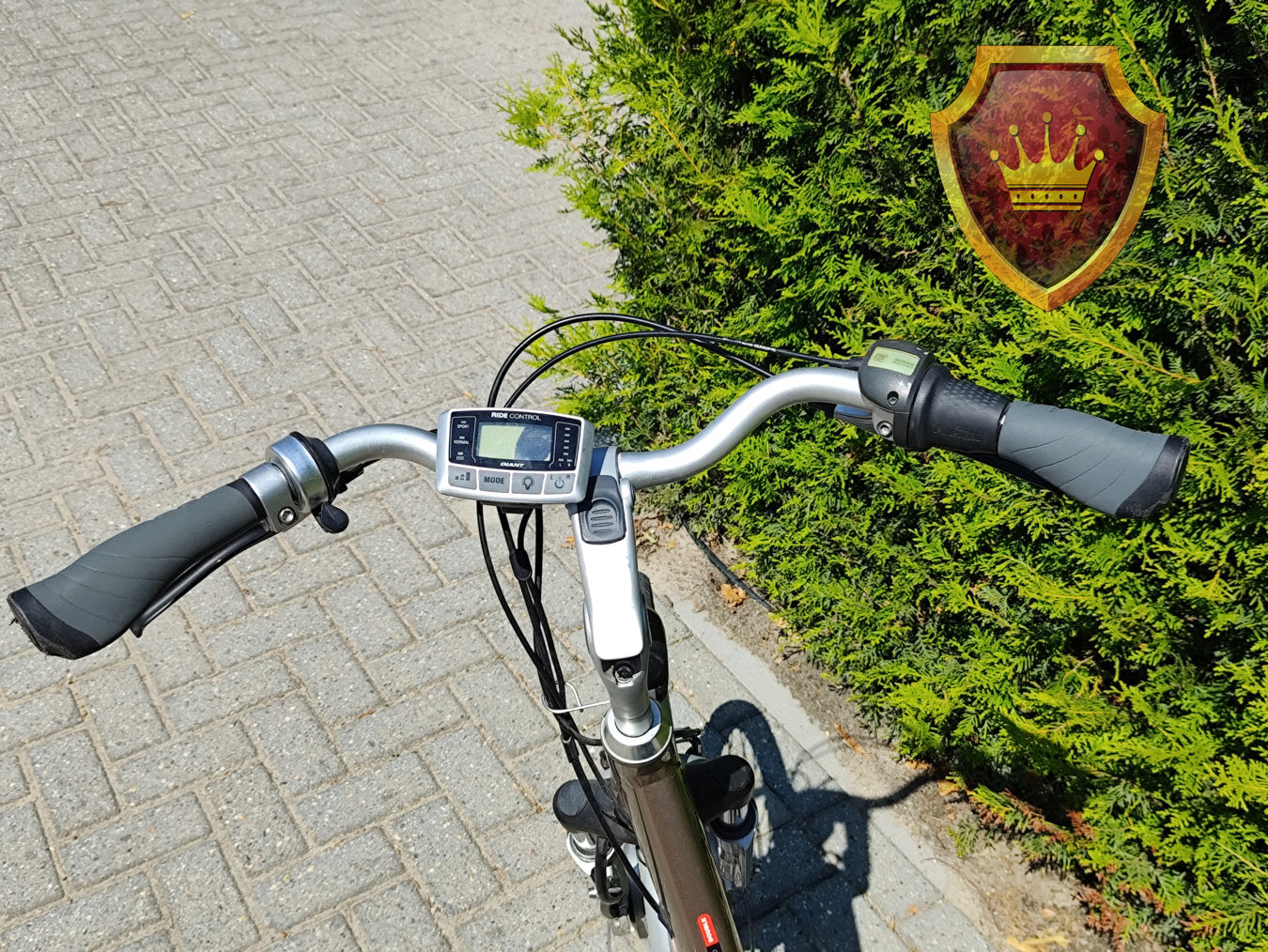 Giant Twist Go Double Dames Elektrische Fiets