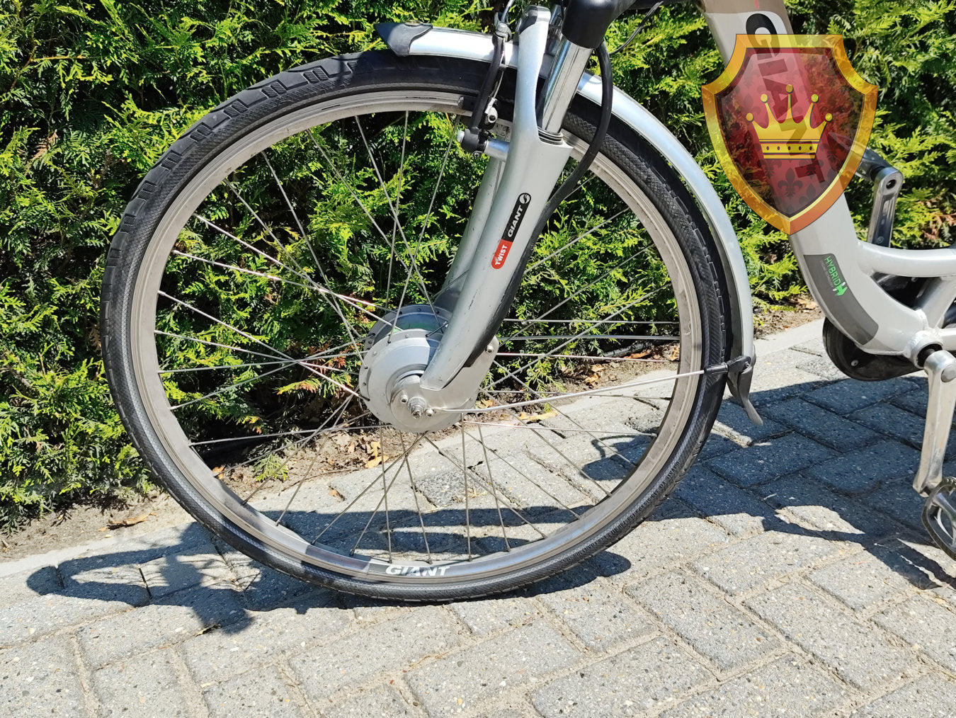 Giant Twist Go Double Dames Elektrische Fiets