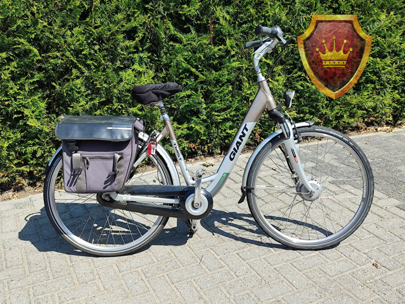 Giant Twist Go Double Dames Elektrische Fiets